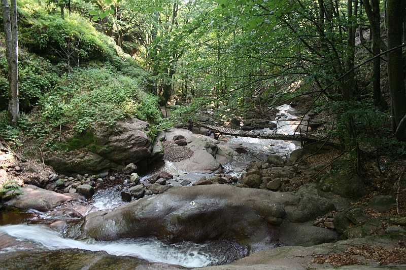 Bulgaria 2008 138